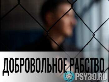 Добровольное-рабство-разбор-случая-Алексей-Хидоятов-психолог